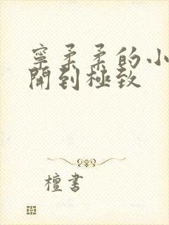 宁柔柔的小泬撑开到极致