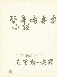 替身娇妻要离婚 小说