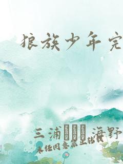 狼族少年完整版