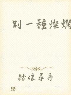 别一种灿烂生活