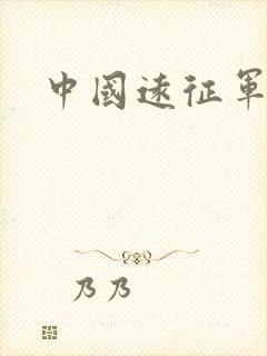 中国远征军下载