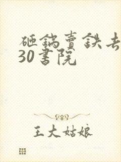 砸锅卖铁去上学30书院