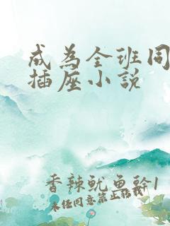 成为全班同学的插座小说
