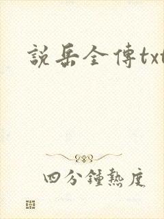 说岳全传txt
