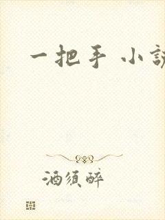 一把手 小说