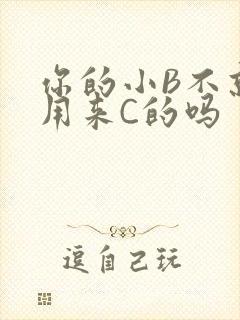 你的小B不就是用来C的吗