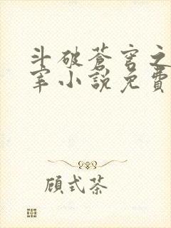 斗破苍穹之大主宰小说免费阅读