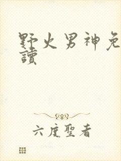 野火男神免费阅读