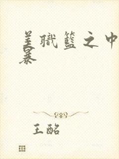 美职篮之中国风暴