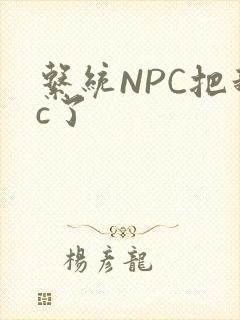 系统NPC把我c了
