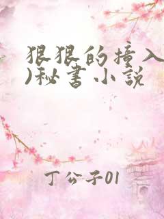 狠狠的撞入(h)秘书小说