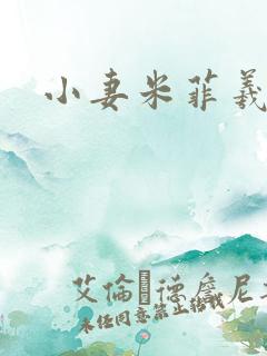 小妻米菲羲捷
