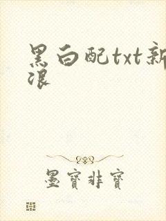 黑白配txt新浪
