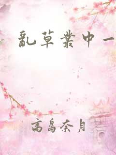 乱草丛中一杆枪