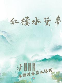 红楼水黛梦
