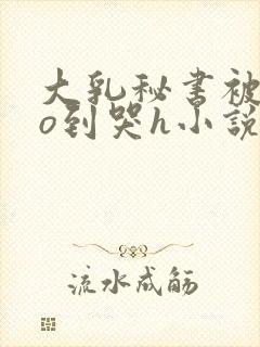 大乳秘书被cao到哭h小说