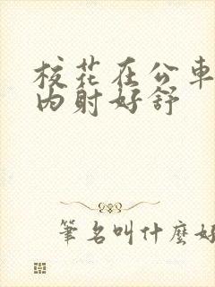 校花在公车上被内射好舒