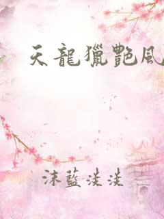 天龙猎艳风流