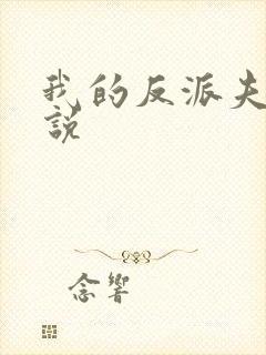 我的反派夫君小说