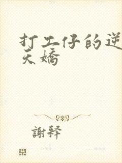 打工仔的逆袭楚天娇