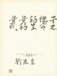 爸爸的棍子顶着我的生命之门