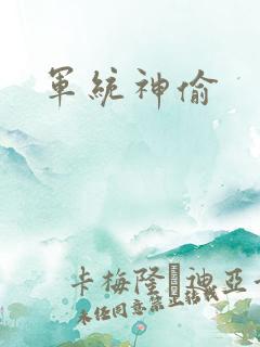 军统神偷