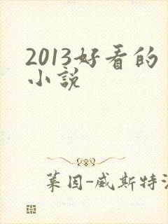 2013好看的小说