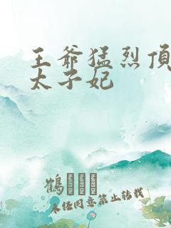 王爷猛烈顶弄H太子妃