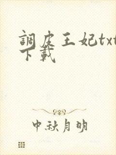 调皮王妃txt下载