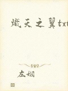 炽天之翼txt
