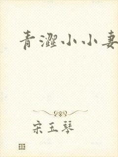 青涩小小妻