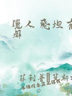 猎人 飞坦有洁癖