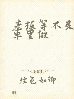 老板等不及了在车里做