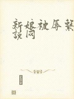 新娘被辱系列小说网