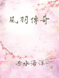 风羽传奇
