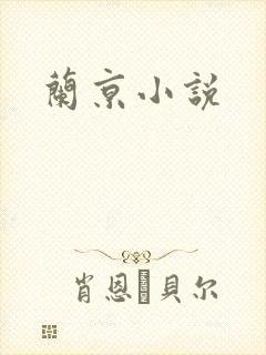 兰京小说