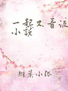 一起又看流星雨小说