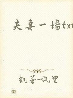 夫妻一场txt