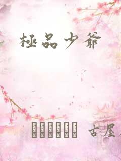 极品少爷
