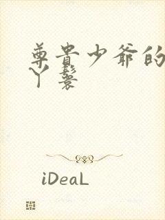 尊贵少爷的大牌丫鬟