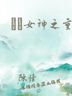 鹡鸰女神之重生