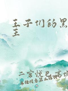 王子们的黑道公主