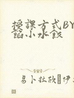 授课方式BY肉馅小水饺