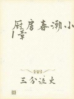 厨房春潮小说第1章