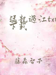 猛龙过江txt下载