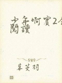 少年啊宾2全文阅读