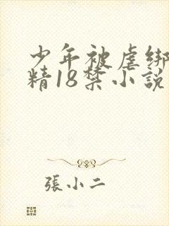 少年被虐绑着榨精18禁小说