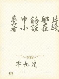 梦中的那片海原著小说在线阅读