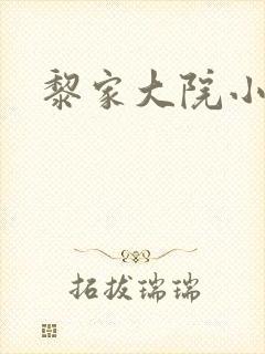 黎家大院小说