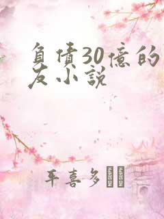 负债30亿的男友小说